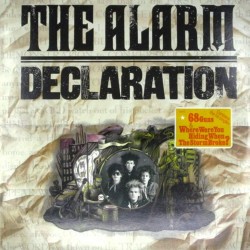 Пластинка Alarm Declaration